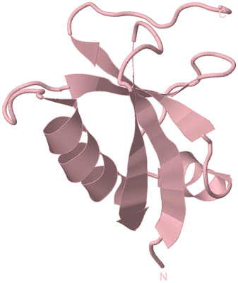 Image Biological Unit 3