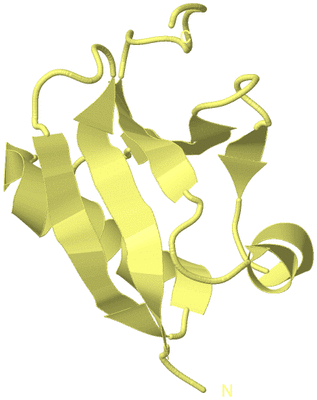 Image Biological Unit 4