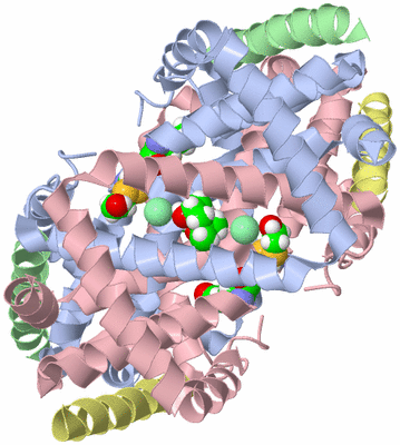 Image Biological Unit 1