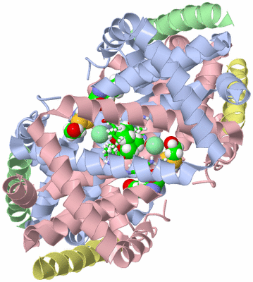 Image Biol. Unit 1 - sites