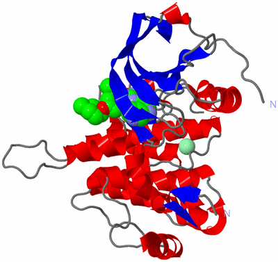 Image Asym./Biol. Unit