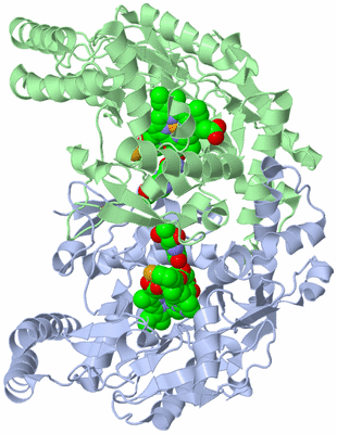 Image Asym./Biol. Unit