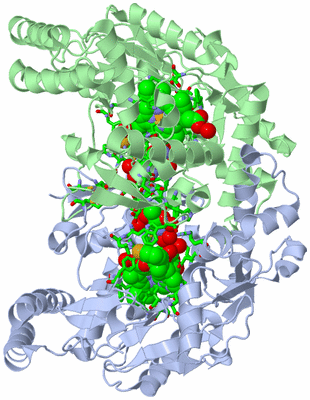 Image Asym./Biol. Unit - sites