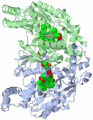 Image Asym./Biol. Unit