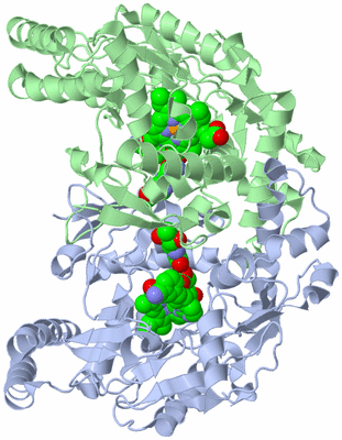 Image Asym./Biol. Unit