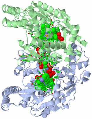 Image Asym./Biol. Unit - sites