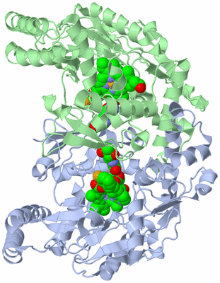 Image Asym./Biol. Unit