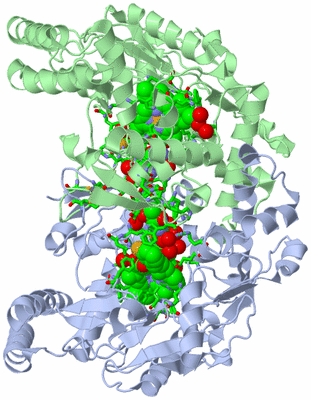 Image Asym./Biol. Unit - sites