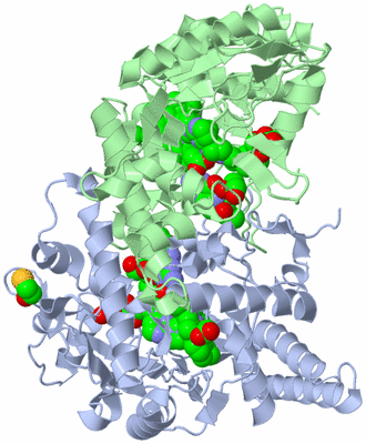 Image Asym./Biol. Unit