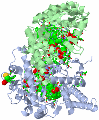 Image Asym./Biol. Unit - sites