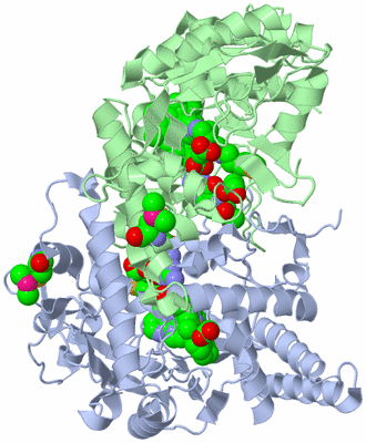 Image Asym./Biol. Unit