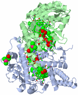 Image Asym./Biol. Unit - sites