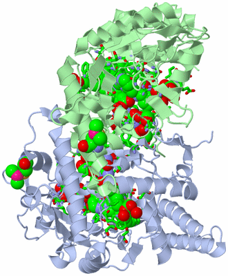 Image Asym./Biol. Unit - sites