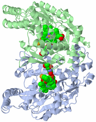 Image Asym./Biol. Unit