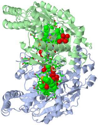 Image Asym./Biol. Unit - sites