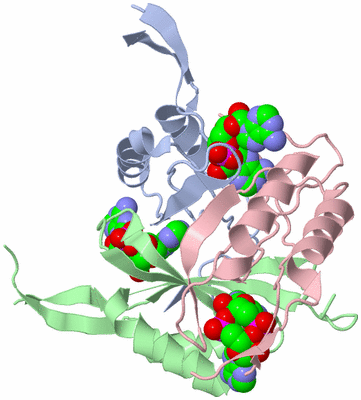 Image Asym./Biol. Unit