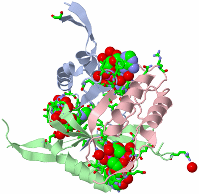 Image Asym./Biol. Unit - sites