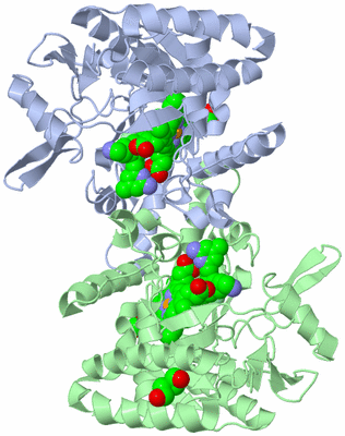 Image Asym./Biol. Unit