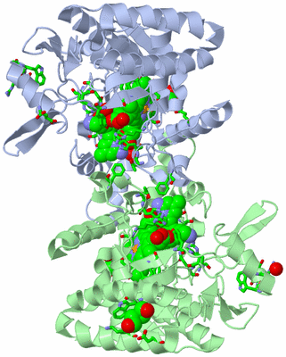 Image Asym./Biol. Unit - sites