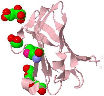 Image Biological Unit 3