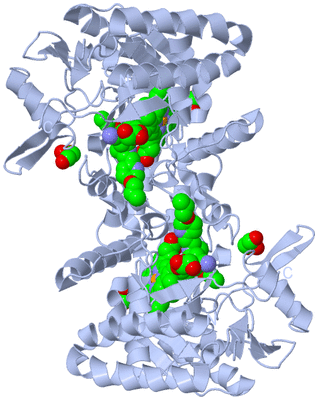 Image Biological Unit 1