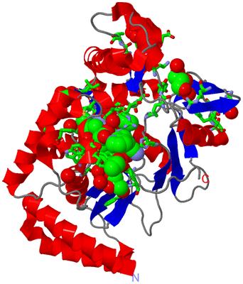 Image Asym. Unit - sites