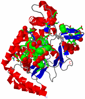 Image Asym. Unit - sites