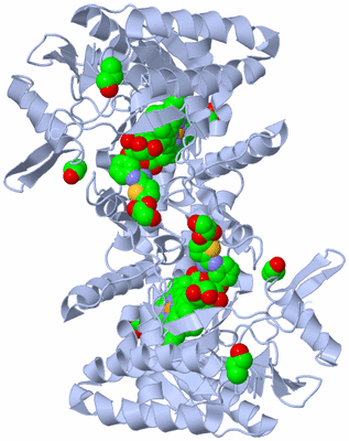 Image Biological Unit 1