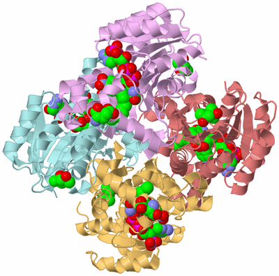 Image Biological Unit 1