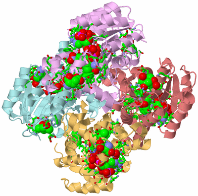 Image Biol. Unit 1 - sites