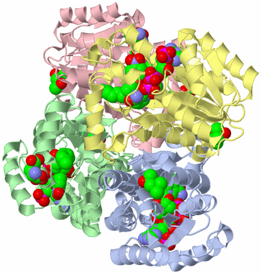 Image Biological Unit 2