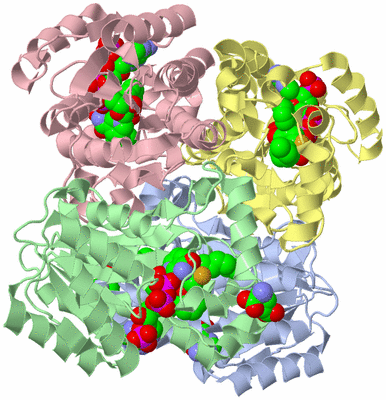 Image Biological Unit 1