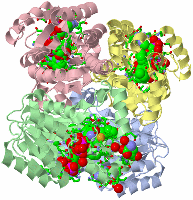 Image Biol. Unit 1 - sites