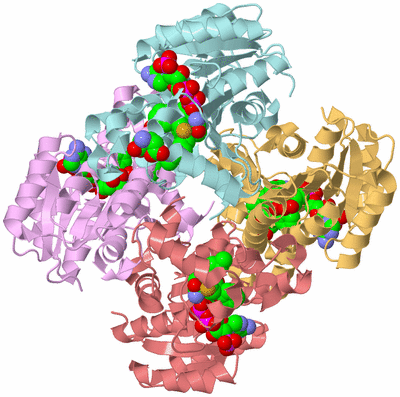 Image Biological Unit 2