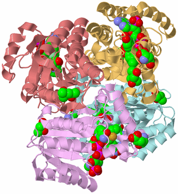 Image Biological Unit 1