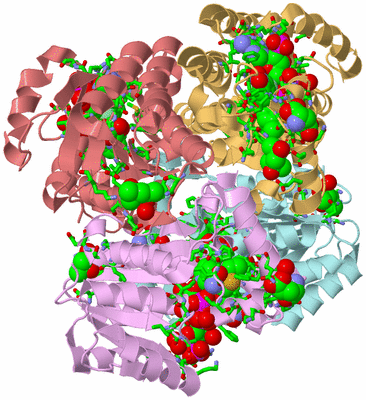 Image Biol. Unit 1 - sites