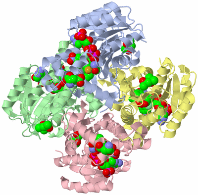 Image Biological Unit 2