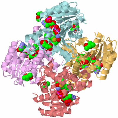 Image Biological Unit 1