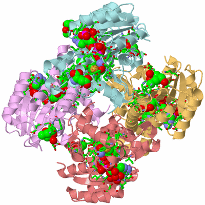 Image Biol. Unit 1 - sites