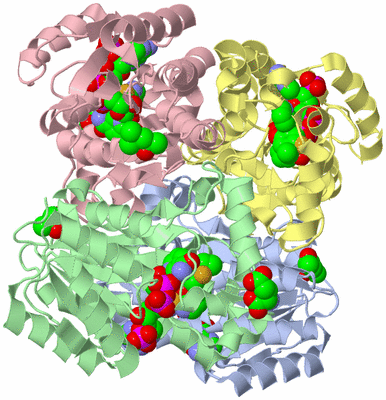 Image Biological Unit 2