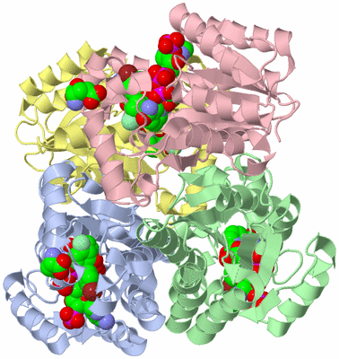 Image Biological Unit 1