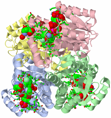 Image Biol. Unit 1 - sites