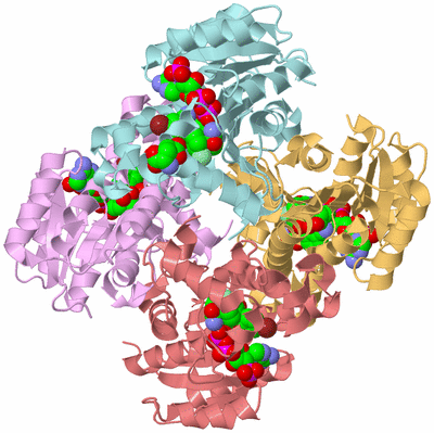 Image Biological Unit 2