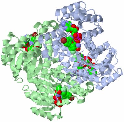 Image Biological Unit 1