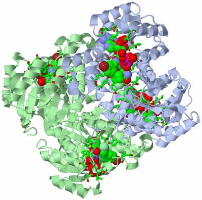 Image Biol. Unit 1 - sites