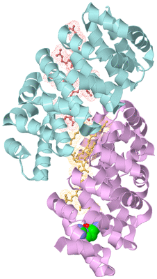 Image Biological Unit 2