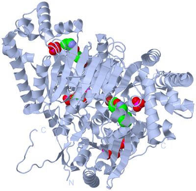 Image Biological Unit 1