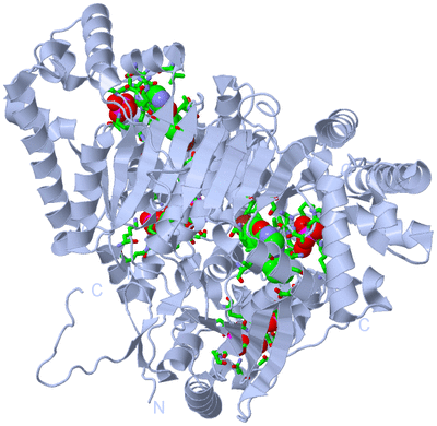 Image Biol. Unit 1 - sites