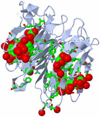 Image Biol. Unit 1 - sites