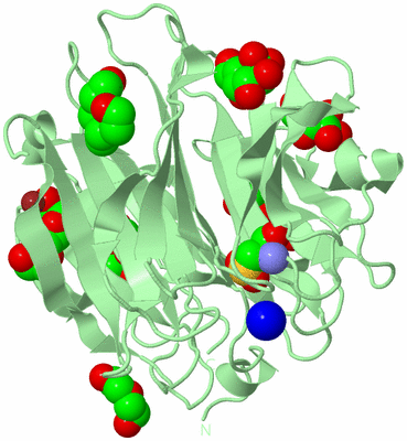 Image Biological Unit 2